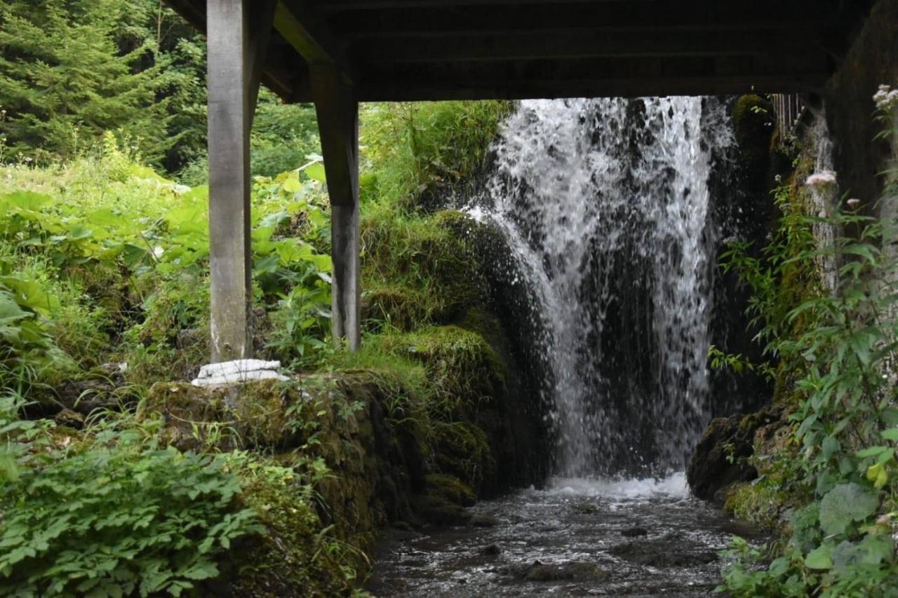 Wooden House With A Waterfall "Stipanov Mlin" Villa Plitvička Jezera Eksteriør bilde